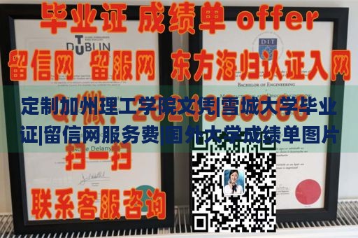 定制加州理工学院文凭|雪城大学毕业证|留信网服务费|国外大学成绩单图片